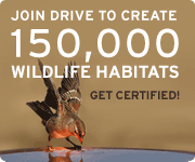 Join our nationwide drive to create 150,000 certified wildlife habitats